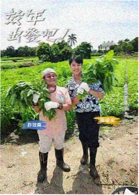 手作时代 综艺速递在线观看